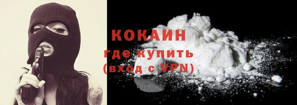 mdpv Бородино