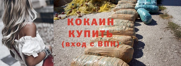 mdpv Бородино