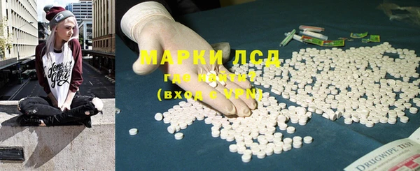 mdpv Бородино
