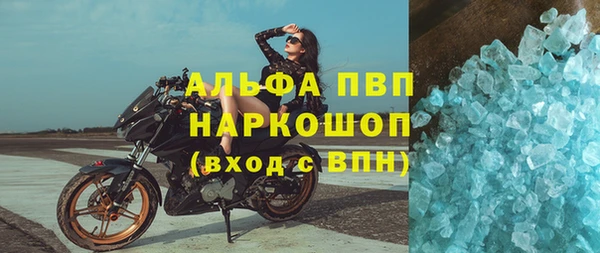 mdpv Бородино