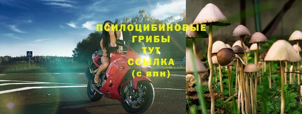 марки lsd Бугульма