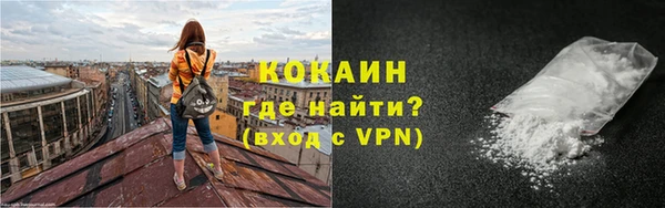 mdpv Бородино