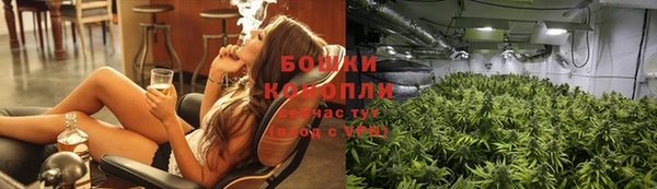 mdpv Бородино